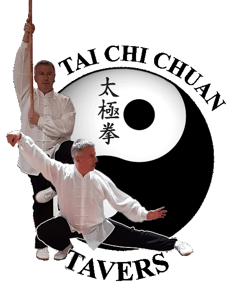 Didier Guibert — Professeur TCCT