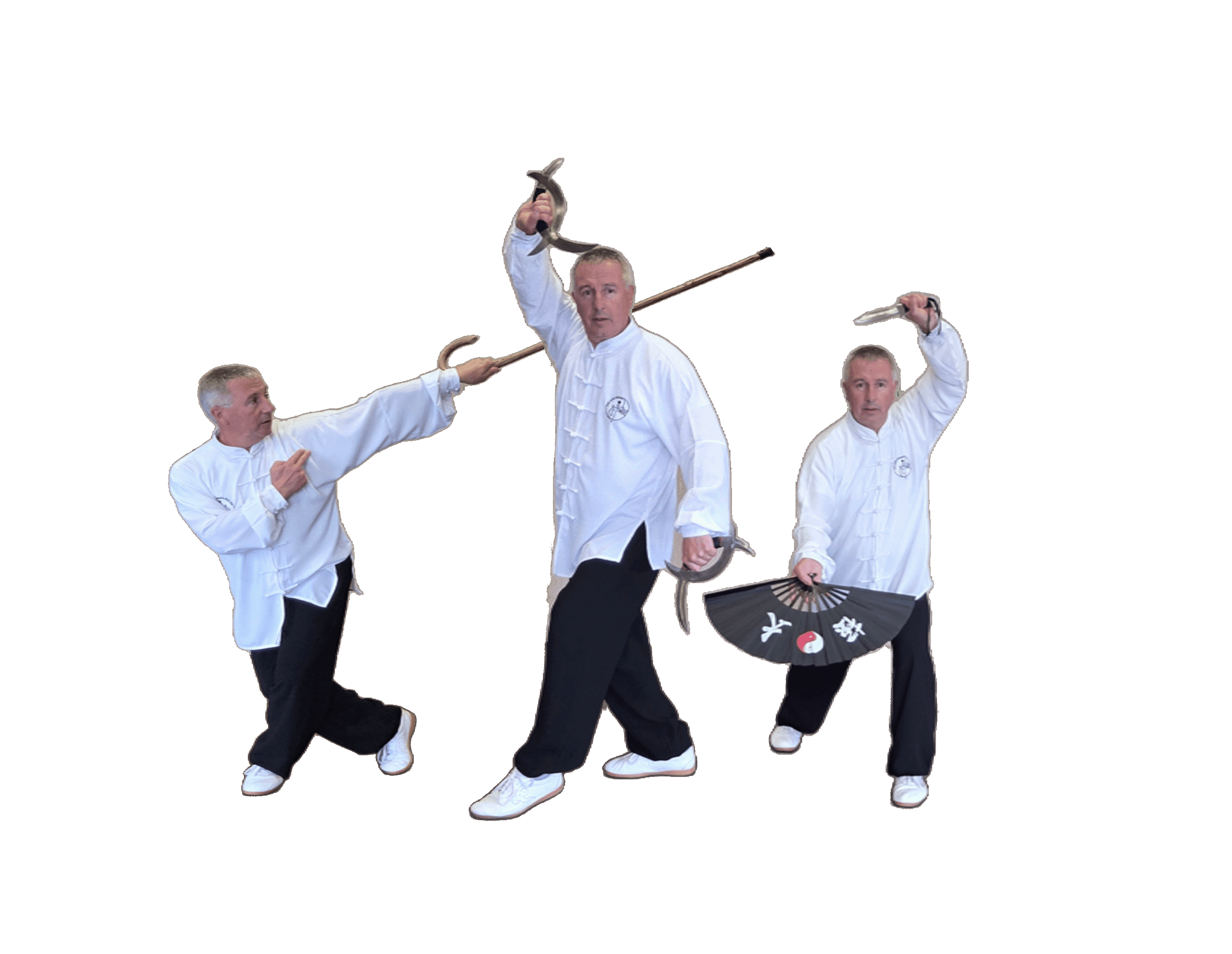 Tai Chi Yang Cheng Fu
