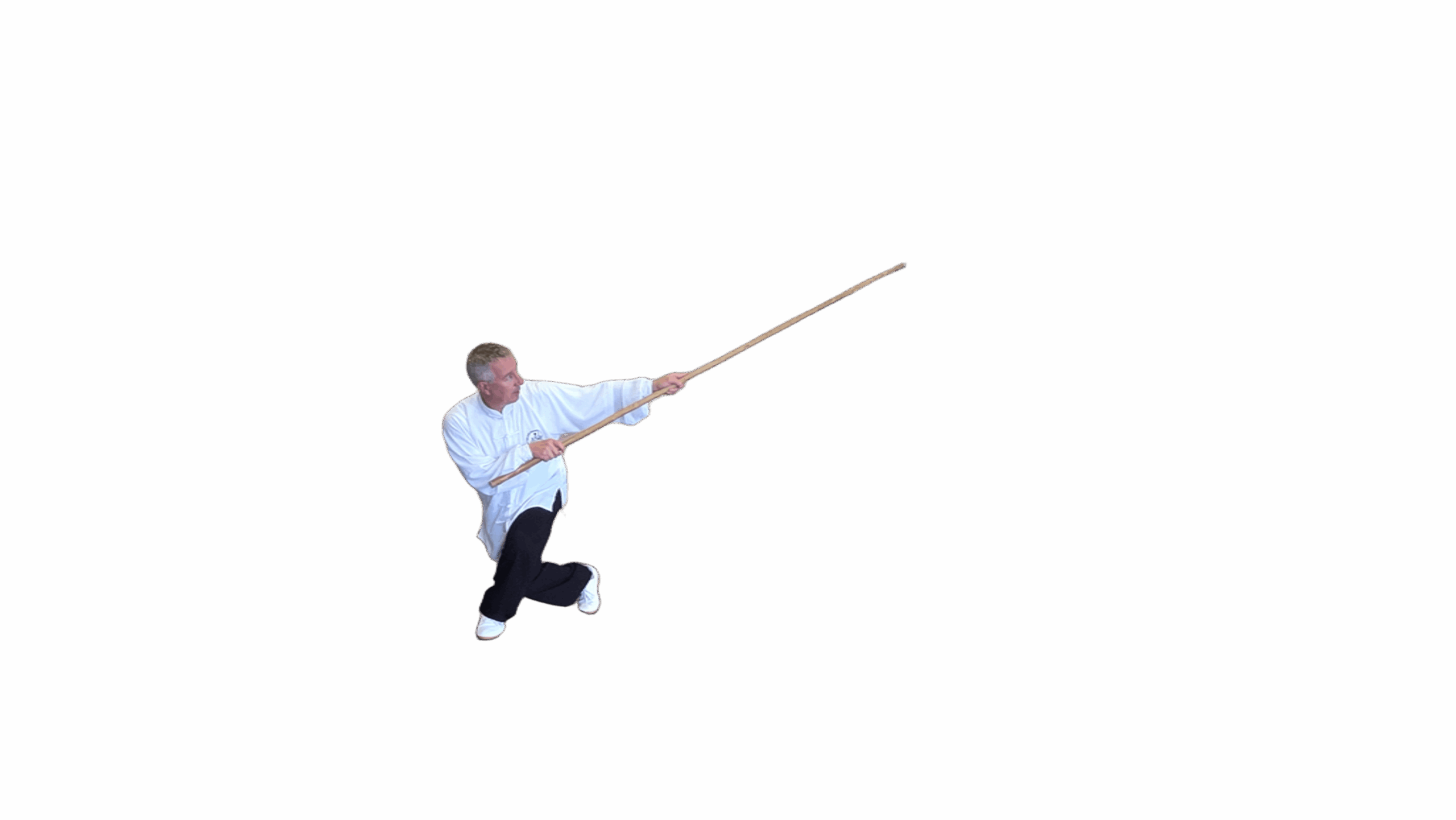 Le bâton long