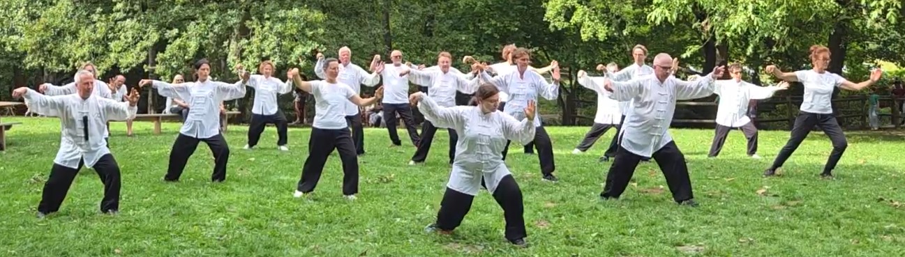 Démonstration de Tai Chi Chuan à Tavers