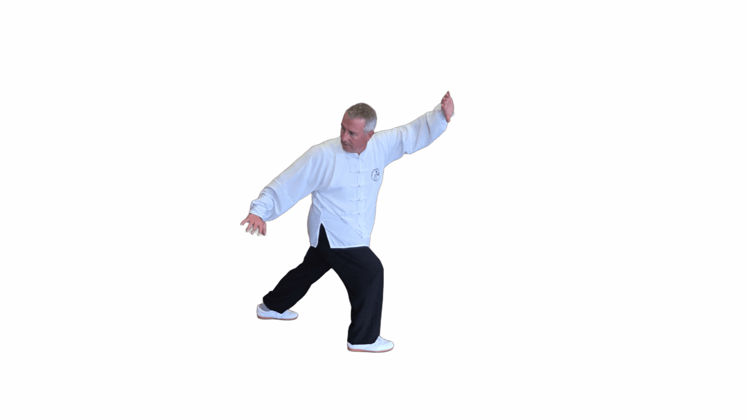 Tai Chi Yang Cheng Fu