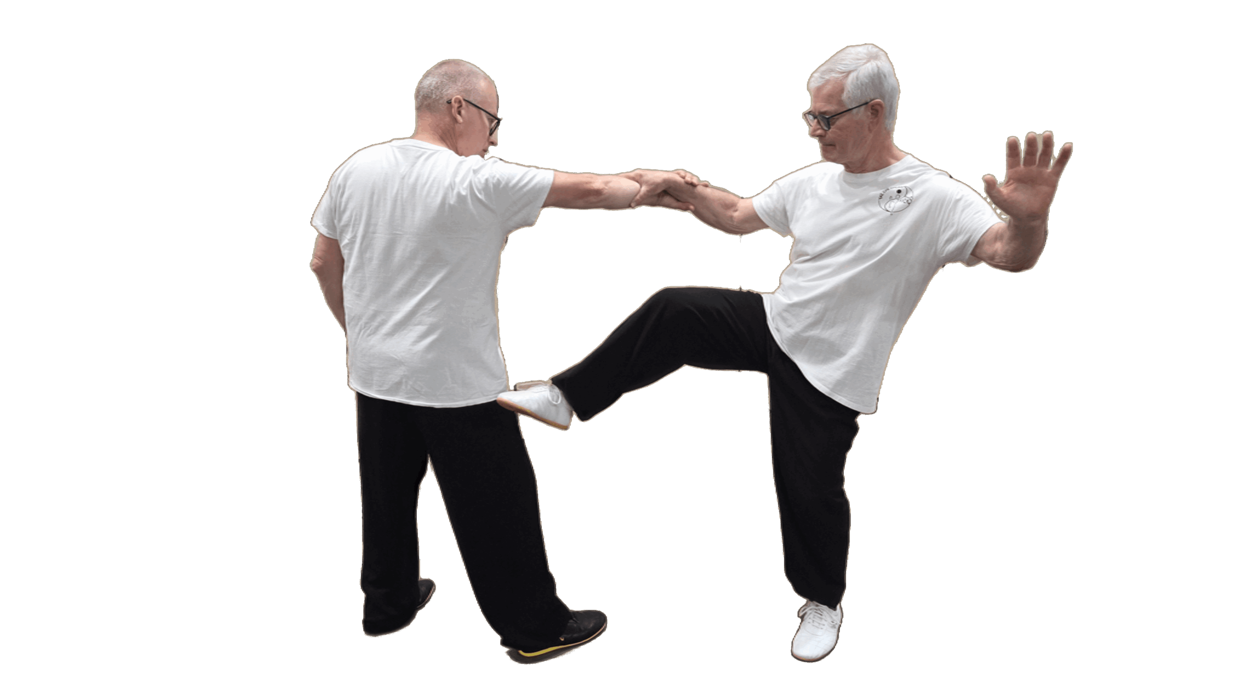 Tai Chi Yang Cheng Fu