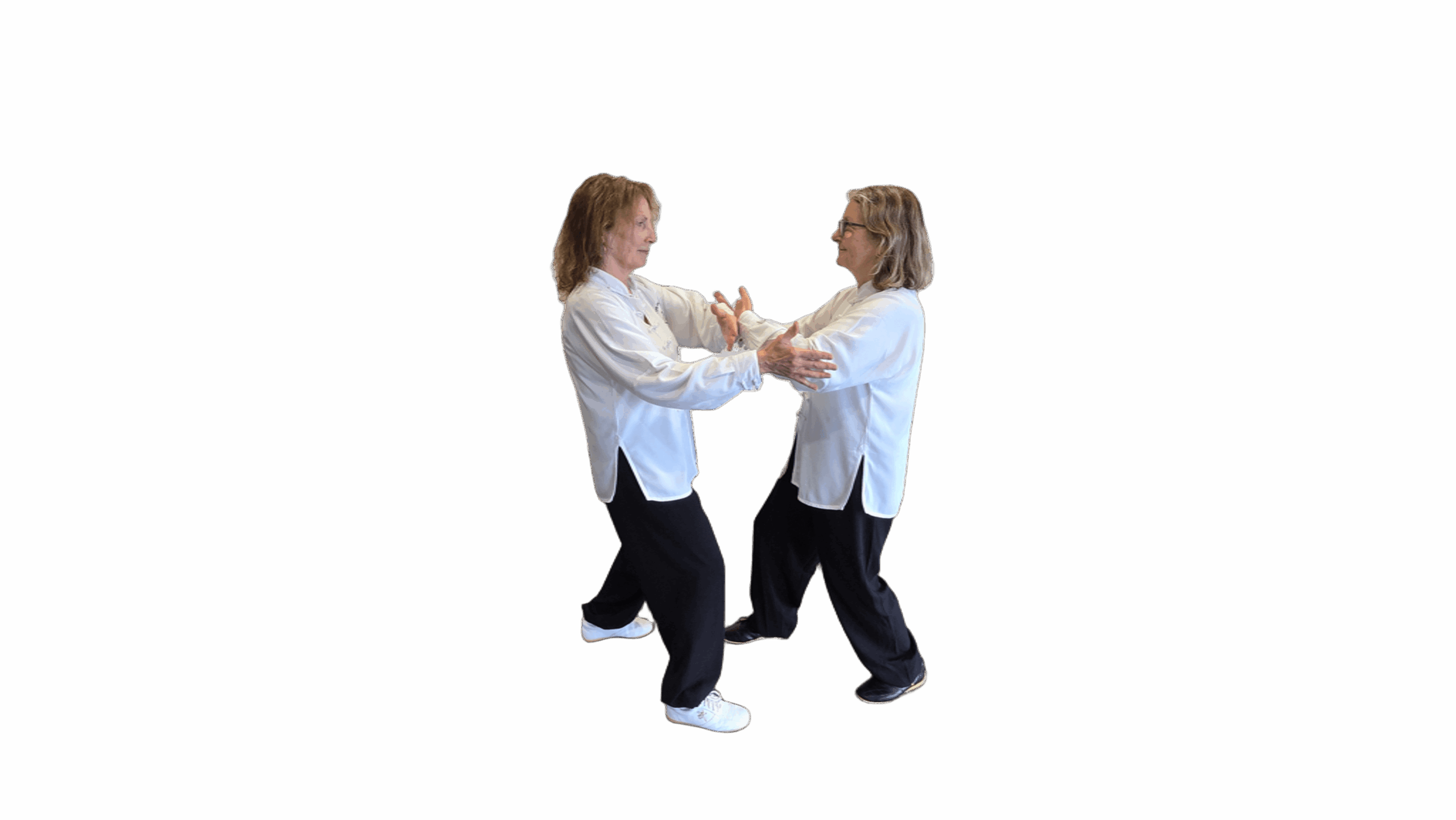 Tai Chi Yang Cheng Fu