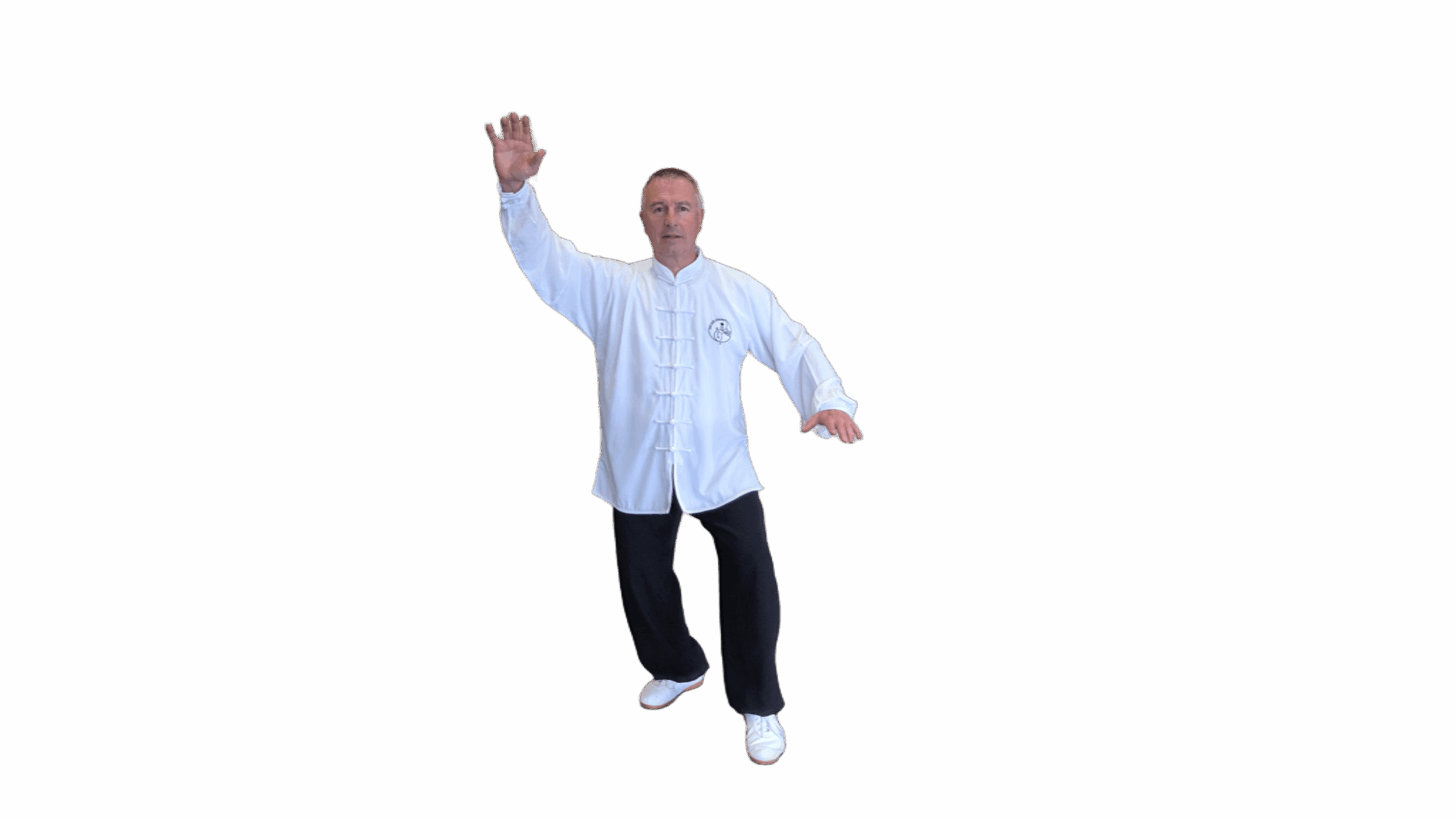Tai Chi Yang Cheng Fu