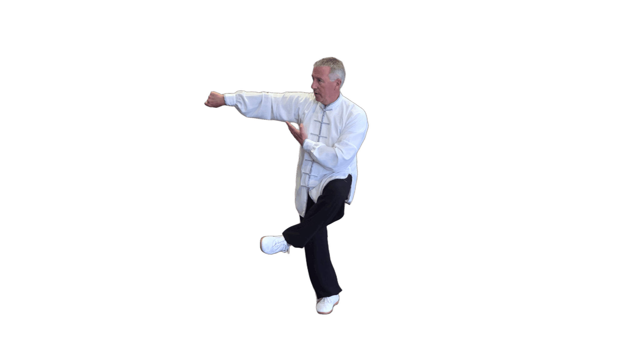 Tai Chi Yang Cheng Fu